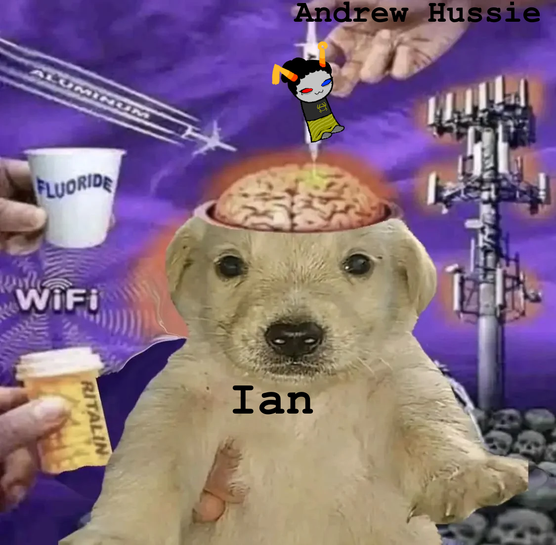 Poorly edited meme image of a puppy, golden retriever, with an exposed brain being injected with a syringe depicting Canopa, a goldblooded cat mouthed troll - the syringe is held by a hand labeled Andrew Hussie into the puppy labeled Ian